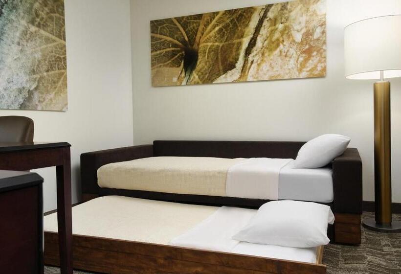 Студио Стандарт Кровать Кинг, Springhill Suites Richmond Northwest