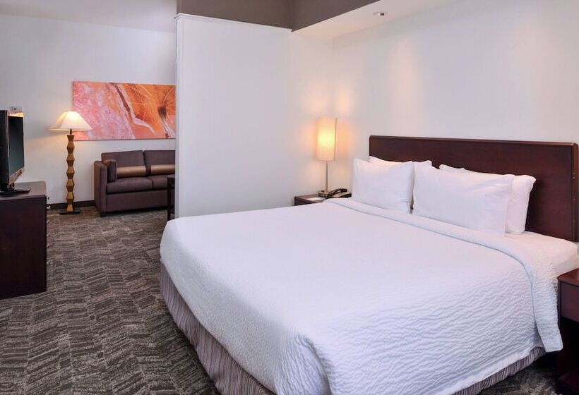 Люкс, Springhill Suites By Marriott Oklahoma City Airport