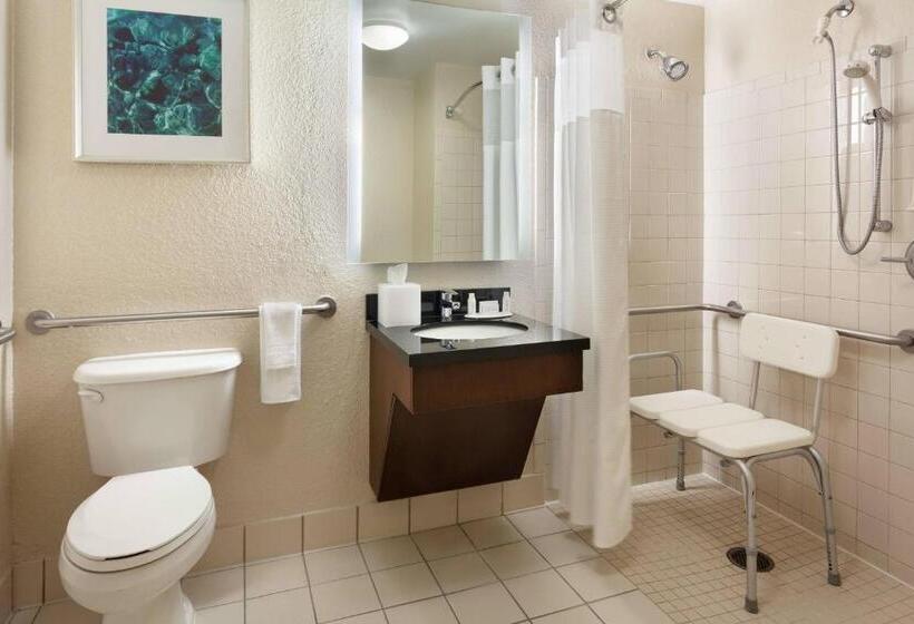 Стандартный Номер Кровать Кинг, Fairfield Inn & Suites By Marriott Orlando Lake Buena Vista In The Marriott Village