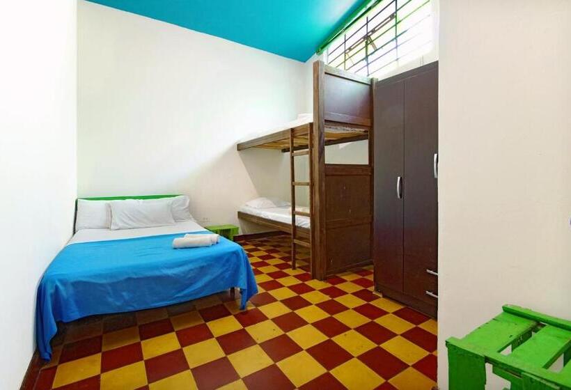 스탠다드 4인용 룸 공용 욕실, Ding Dong Hostel