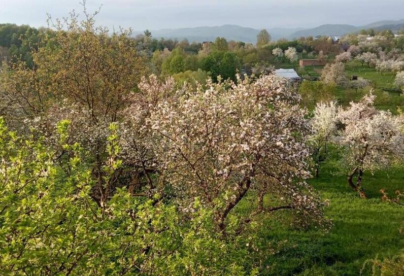 Номер Стандарт, Bat Kivska Hata