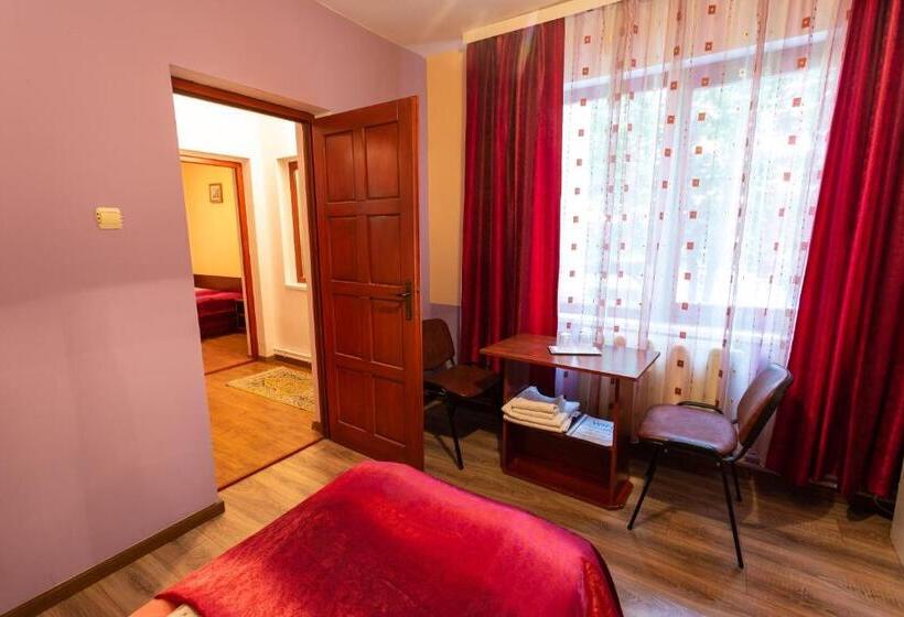 Номер Стандарт, Pensiunea Casa Porojan