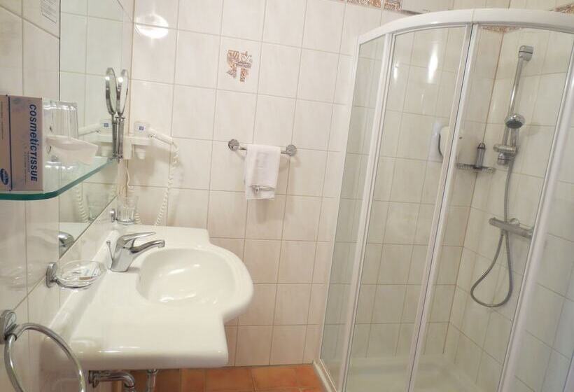 Номер Стандарт Индивидуальный, Genuss  Und Wellnesshotel Puchas Kukmirn
