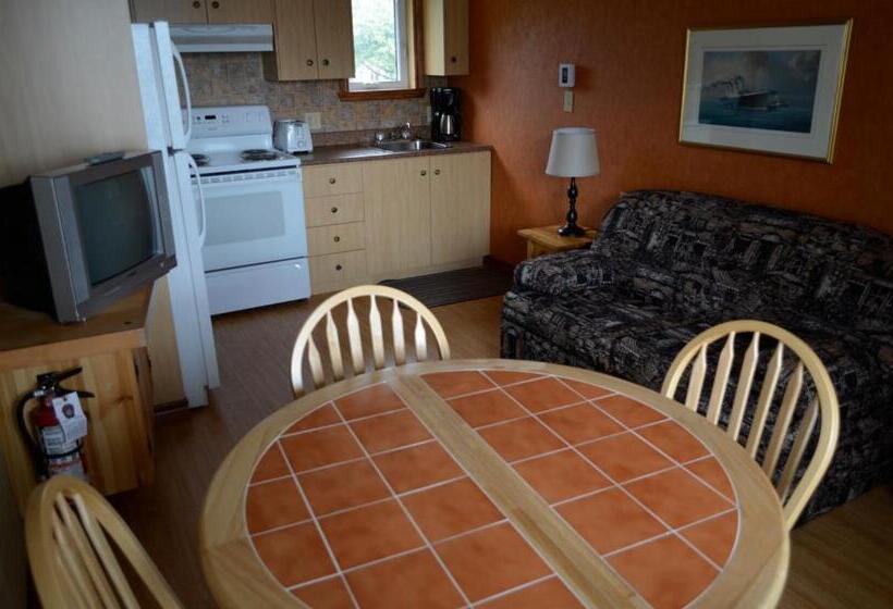 Студия Стандарт, Hôtel Motel Les Voitures D Eau