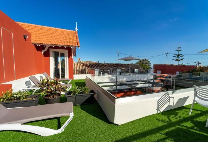 דירה בת חדר שינה 1 עם מרפסת, Albor Suites