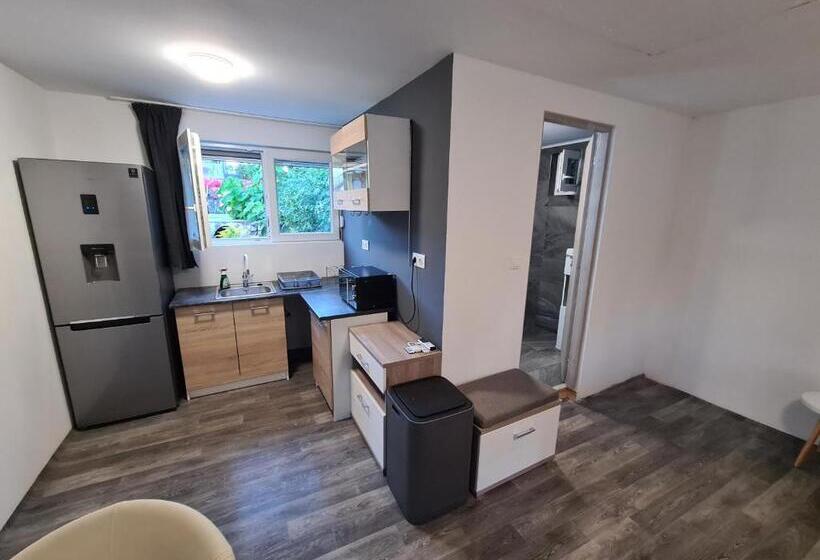 Апартаменты 1 Спальня с Террасой, Sipos Vendég és Apartmanház