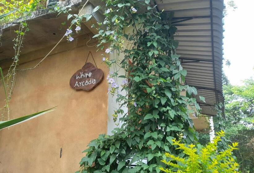 اتاق لوکس, White Arcadia Cottage