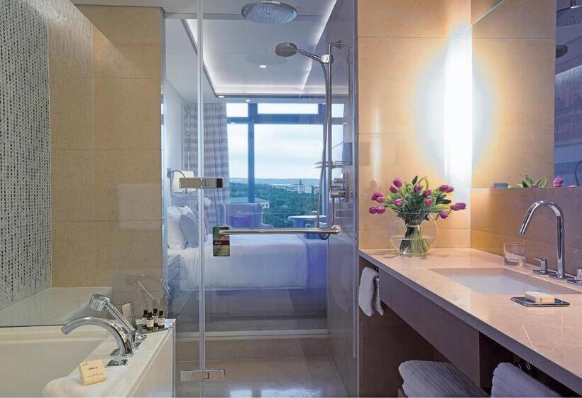 اتاق استاندارد با تخت بزرگ, Fairmont Baku  Flame Towers