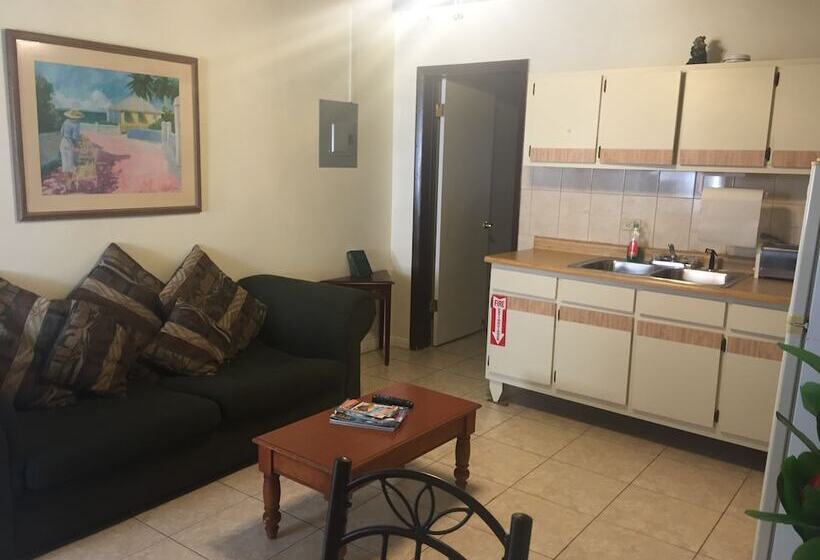 آپارتمان 1 خوابه با چشم‌انداز دریا, Sunset Gardens Guesthouse