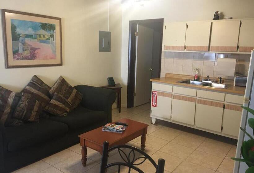 آپارتمان 1 خوابه با چشم‌انداز دریا, Sunset Gardens Guesthouse