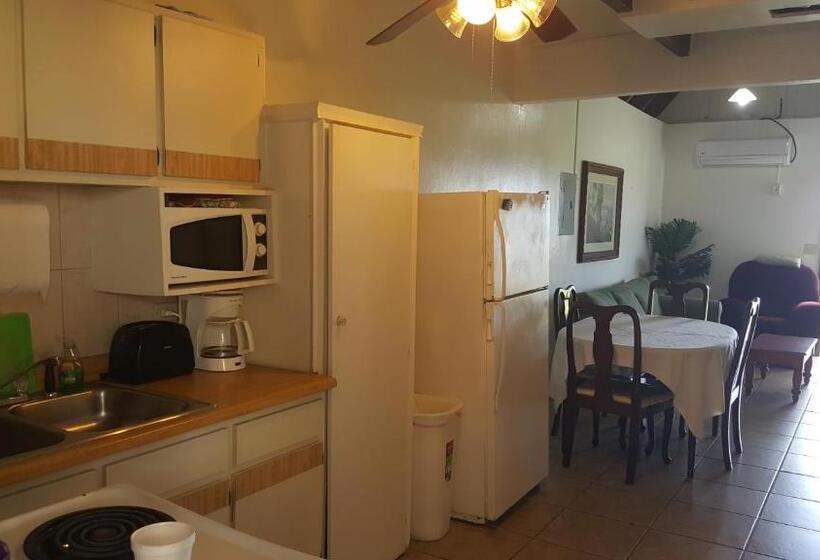 آپارتمان 3 خوابه با چشم‌انداز دریا, Sunset Gardens Guesthouse