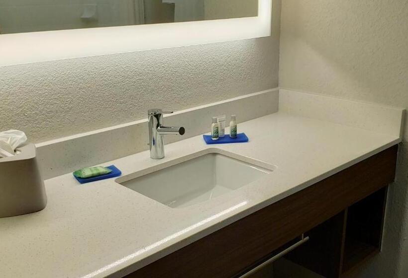Стандартный Номер Кровать Кинг, Holiday Inn Express Hotel And Suites Weslaco, An Ihg