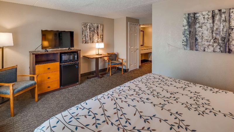 适合残疾人使用的标准间, Americinn By Wyndham Birch Run   Frankenmuth