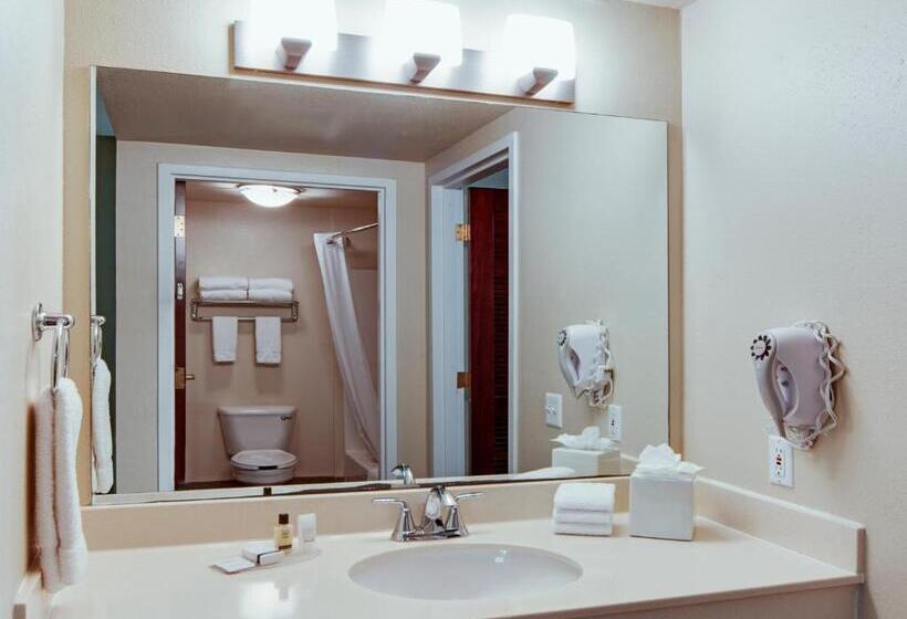 Люкс Кровать Кинг, Hawthorn Extended Stay By Wyndham College Station