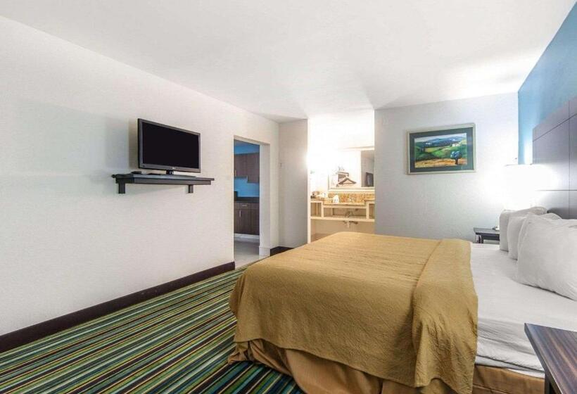带大床的标准间, Quality Inn & Suites