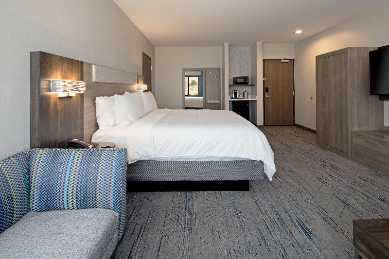스위트 킹사이즈 침대, Holiday Inn Express & Suites   Valencia   Santa Clarita, An Ihg