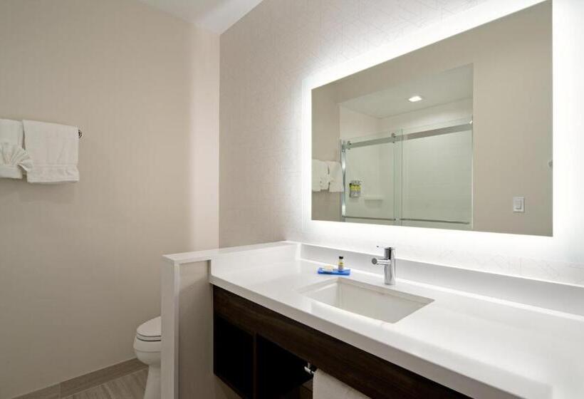 Стандартный Номер Кровать Кинг, Holiday Inn Express & Suites   Valencia   Santa Clarita, An Ihg