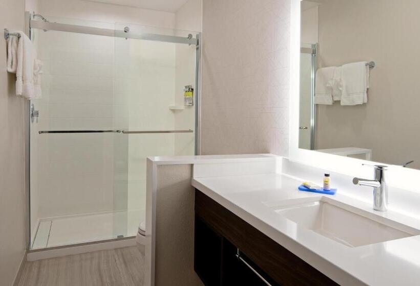 Люкс Кровать Кинг, Holiday Inn Express & Suites   Valencia   Santa Clarita, An Ihg