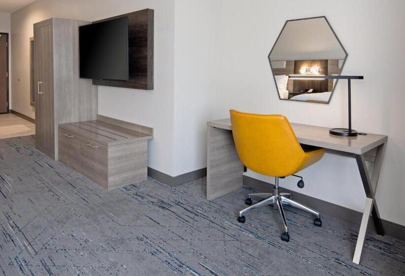 Номер Стандарт Кровать Кинг Адаптированный для Инвалидов, Holiday Inn Express & Suites   Valencia   Santa Clarita, An Ihg