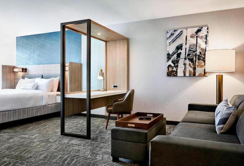 Люкс Адаптированный для Инвалидов, Springhill Suites By Marriott Chester