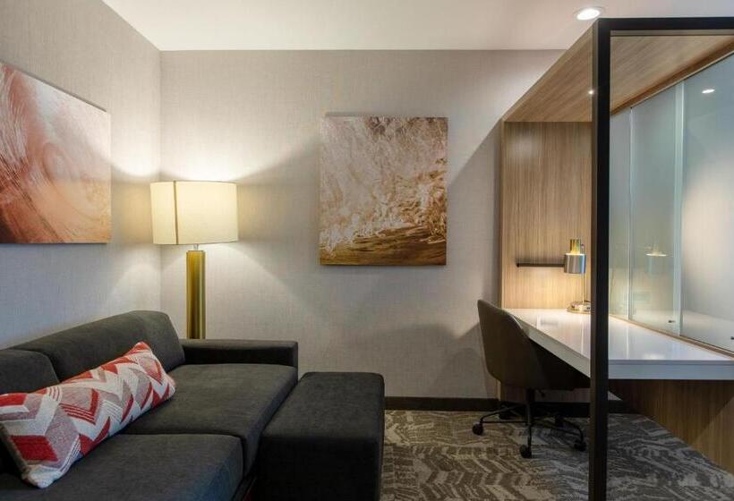 身障者適用スイートルーム, Springhill Suites By Marriott Chester