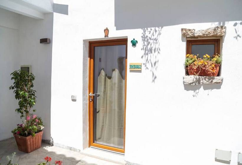 Номер Стандарт Трехместный, Olbia Domus Inn