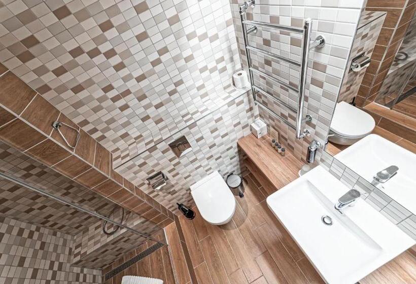 اتاق استاندارد با دسترسی به اسپا, Spa Vilnius Druskininkai