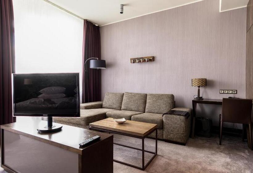 استودیو استاندارد با بالکن, Spa Vilnius Druskininkai