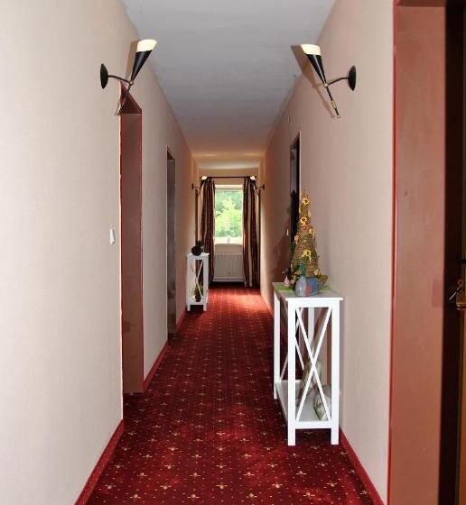 Номер Deluxe, Pension Elan