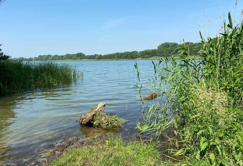 Номер Стандарт Индивидуальный, K 357   Low Budget Hotel   Ostsee Lounge   In Ratekau Bei Lübeck