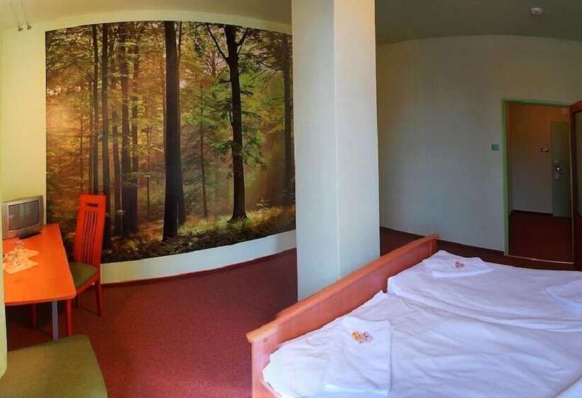 غرفة قياسية, Liberec
