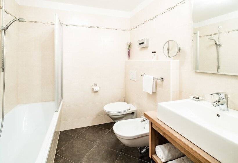 اتاق استاندارد یک نفره, Almhof Hotel Call
