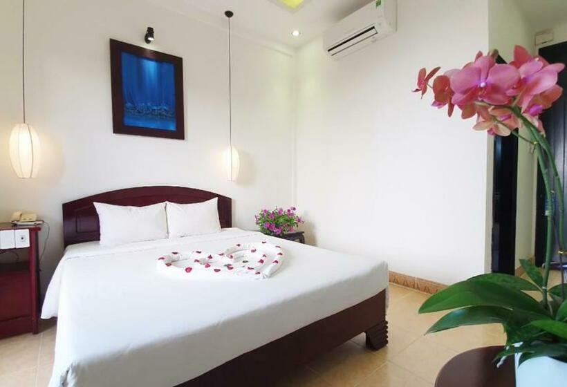 高级大房间, Hoi An Hai Au Boutique
