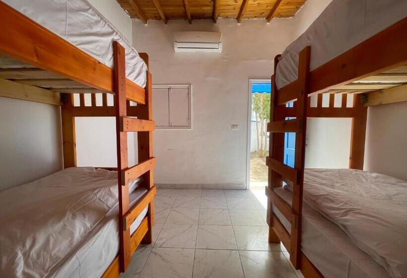 اتاق استاندارد چهارنفره با سرویس بهداشتی مشترک, Auski Hostel Dahab