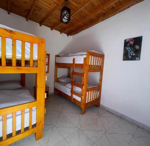 اتاق استاندارد چهار تخته, Auski Hostel Dahab