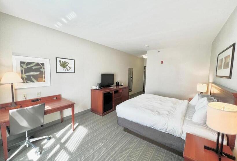 Номер Стандарт Кровать Кинг Адаптированный для Инвалидов, Country Inn & Suites By Radisson, Emporia, Va