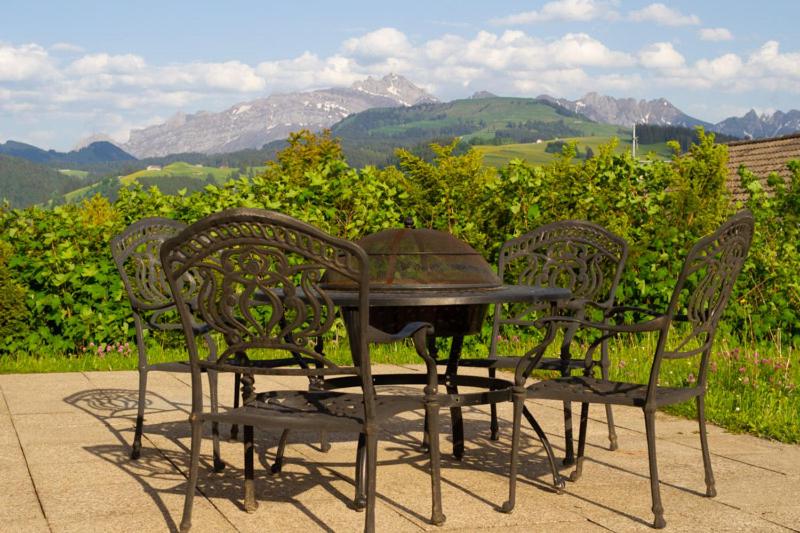 דירת חדר בקומת קרקע, Swiss Views