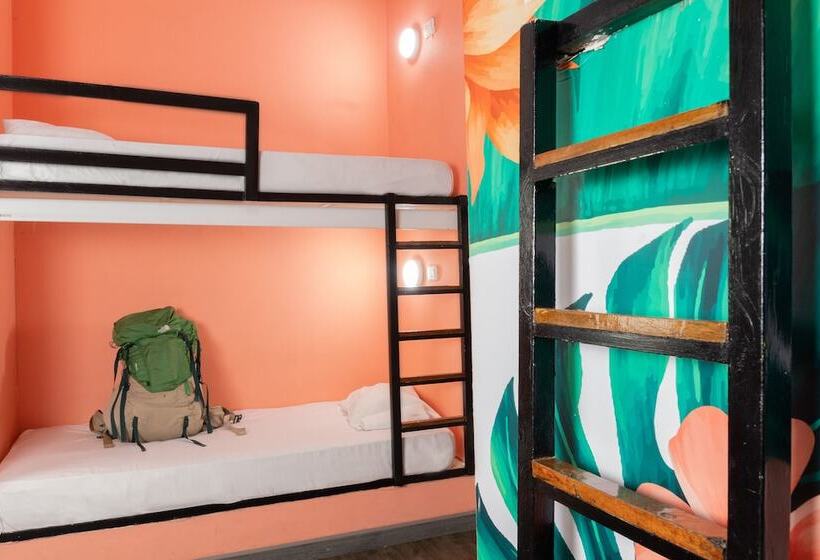 Кровать в Общей Комнате, Hostal Seven Nights Cartagena