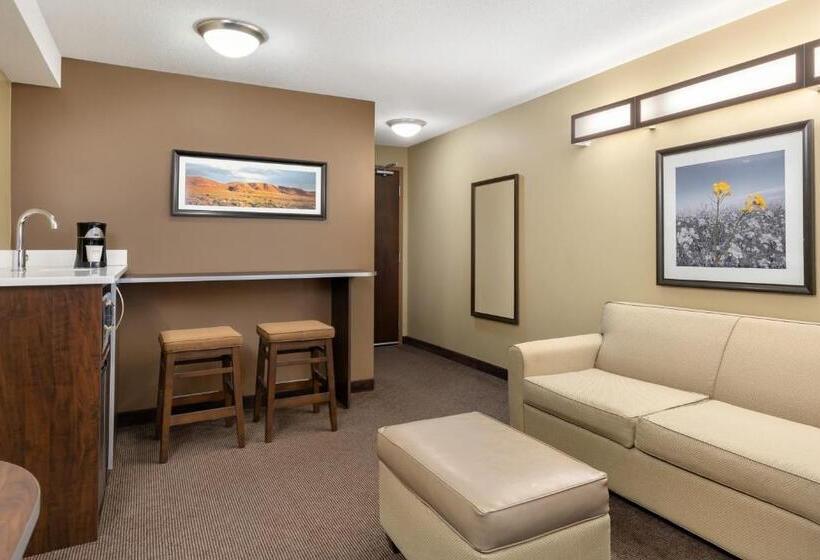Номер бизнес-класса, Microtel Inn & Suites By Wyndham Estevan