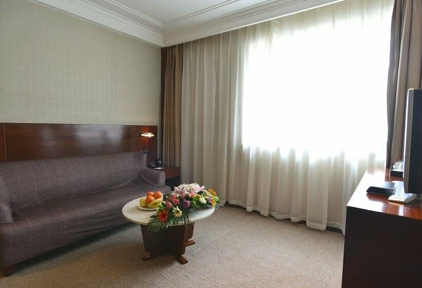 行政套房, San Want Hotel Xining