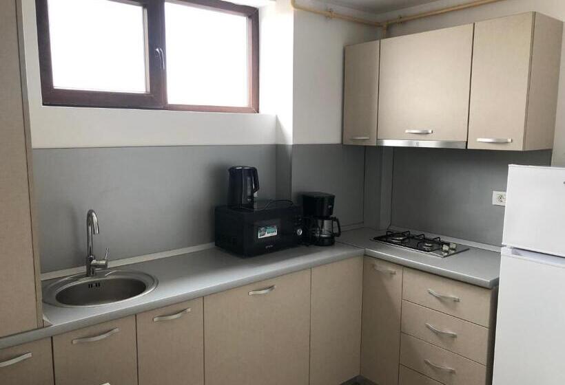 استودیوی استاندارد, Reyna Apart