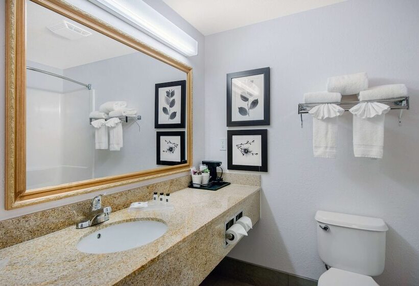 Люкс, Country Inn & Suites By Radisson, Port Canaveral, Fl