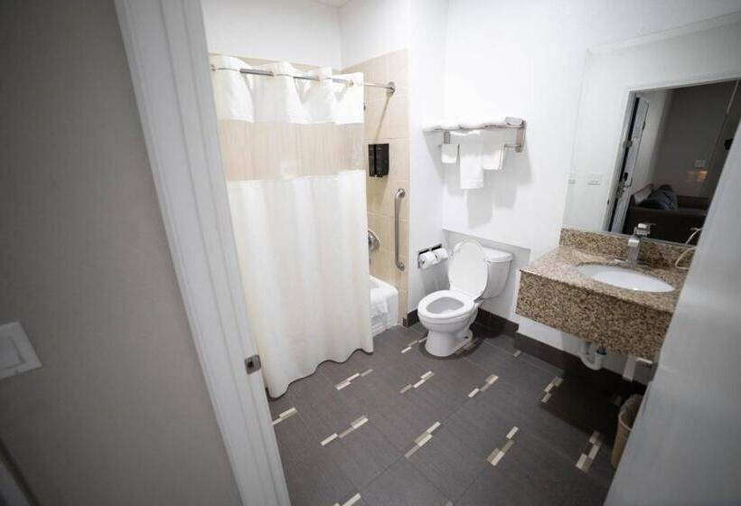 스탠다드 룸 킹사이즈 침대, Mid City Inn & Suites Pico Rivera