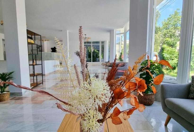 اتاق استاندارد, Mojo Resort