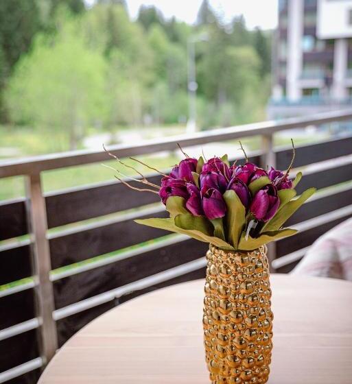 带1个卧室的公寓, Silver Mountain Resort & Spa