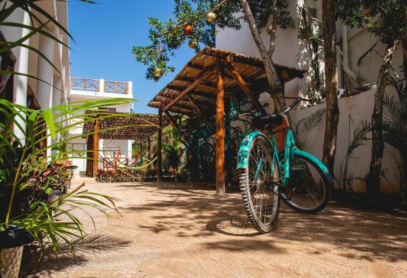 اتاق استاندارد, Villas Palmar Holbox