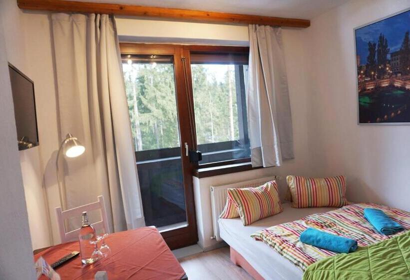 带1个卧室的带阳台的公寓, Karawanken Lodge