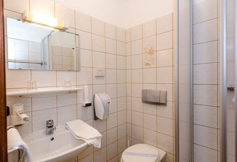 Номер Стандарт Индивидуальный, Stadthotel Schwerterbräu