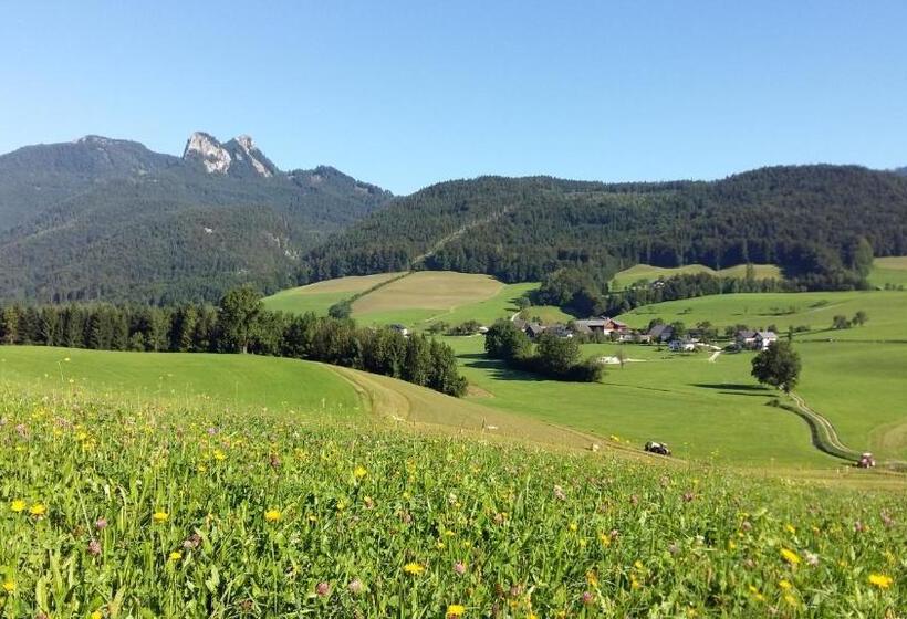 Номер Комфорт, Weinbachbauer   Urlaub Am Bauernhof