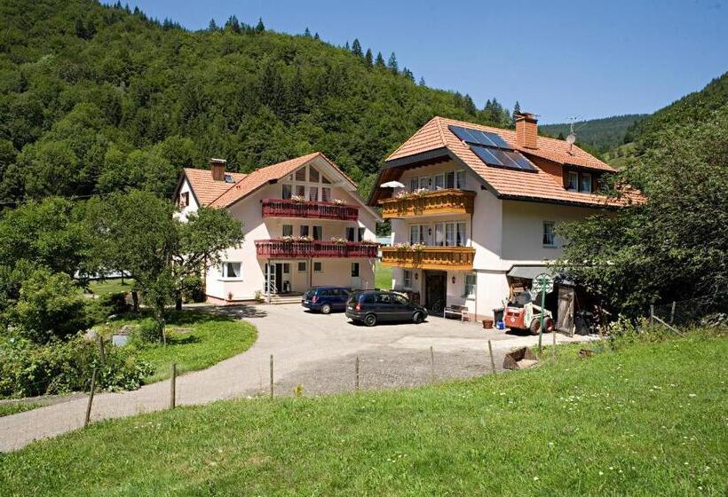 Апартаменты 1 Спальня с Балконом, Landgasthaus Kurz Hotel & Restaurant Am Feldberg   Schwarzwald